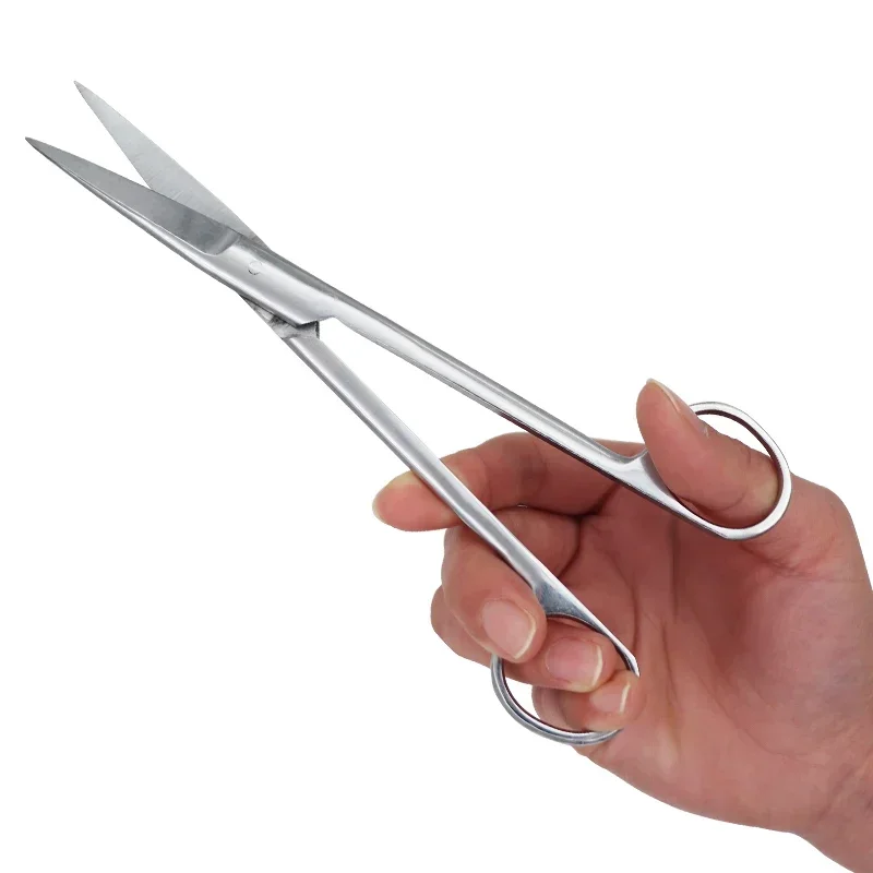 12.5Cm/14Cm/16Cm/18Cm Dental S - Medical Scissors review and price