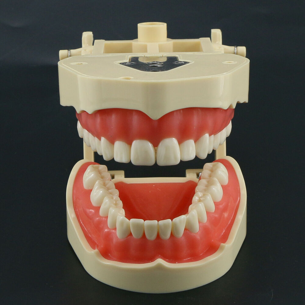 Frasaco ANA-4 Dental Restorati - Stethoscope review and price
