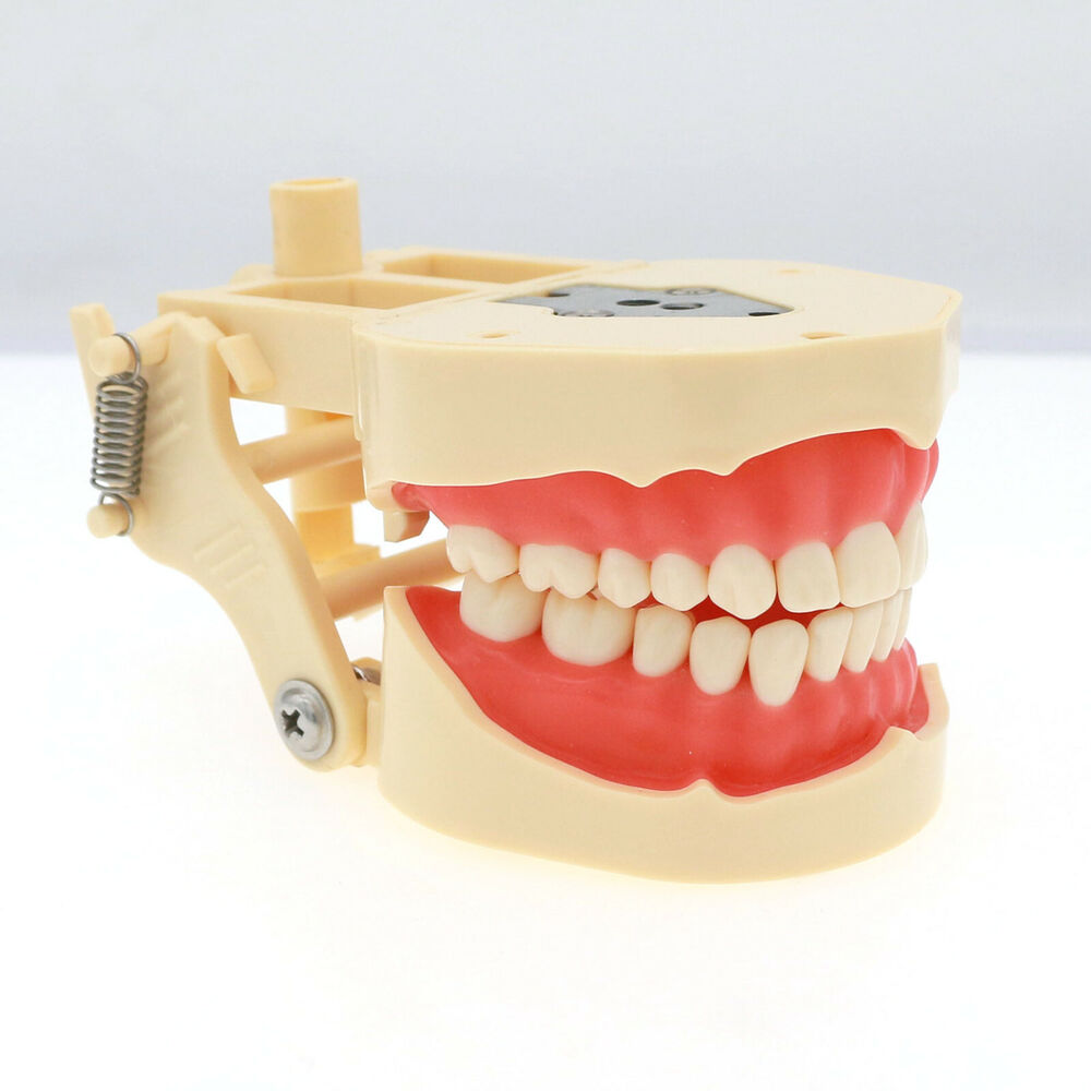 Frasaco ANA-4 Dental Restorati - Stethoscope review and price