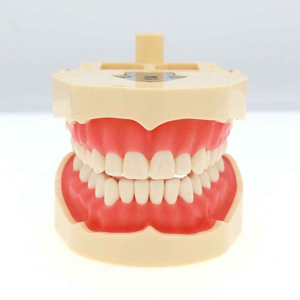 Frasaco ANA-4 Dental Restorati - Stethoscope review and price