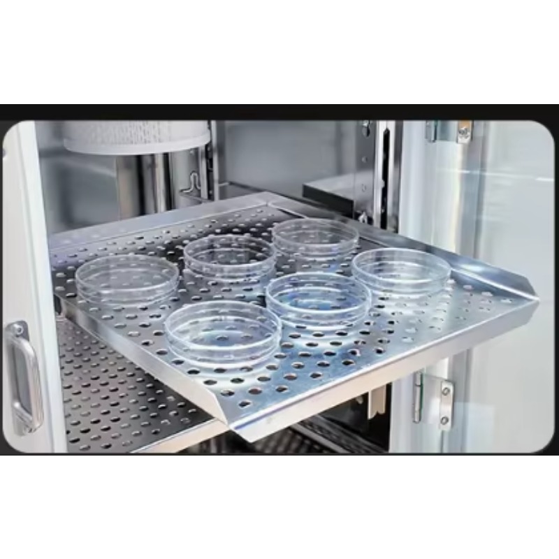 Professional High Precision Co - Lab Incubator review and price